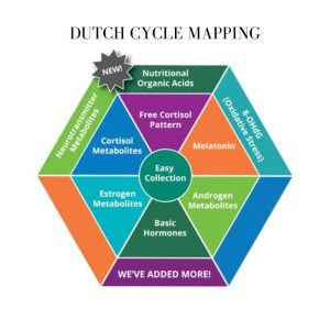 DUTCH CYCLE MAPPING TEST